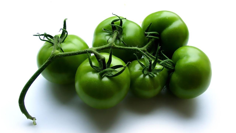 Зеленые помидоры от варикоза - способы применения для лечения ВРВ